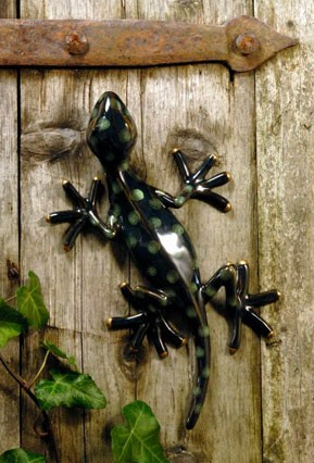 Franz I - Gecko, rechtsblickend